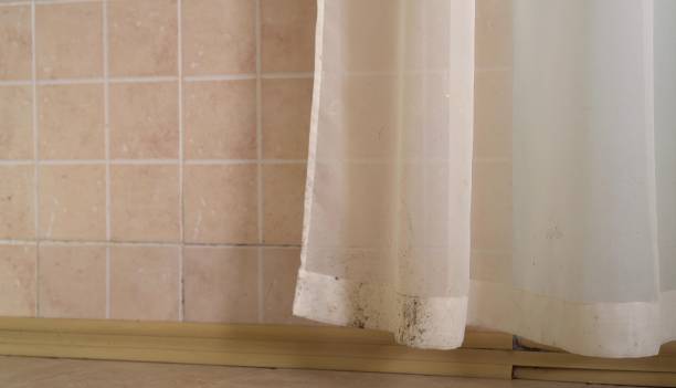 Best Residential Mold Inspection & Testing  in Whitfield, PA