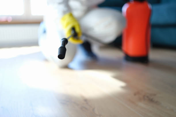 Best Emergency Mold Remediation  in Whitfield, PA